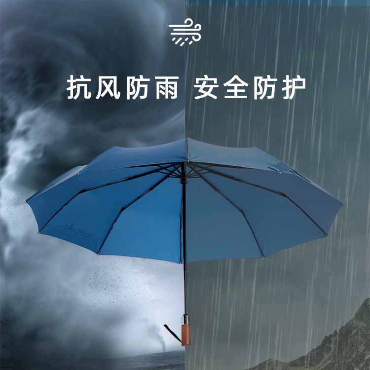 产品详情页-TU3010-防风防雨-国产精品无码无在线观看蜜桃伞-中文_08_03